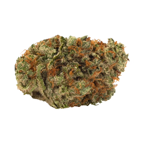 Hiway Slow Lane Indica - Image 2