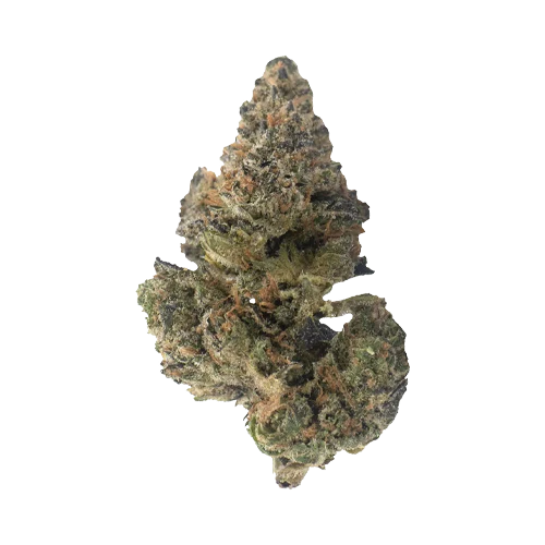 Weed Me Maple Rntz - Image 2