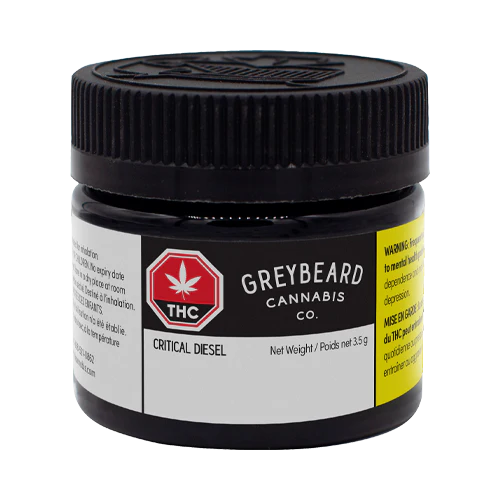 Greybeard Critical Diesel