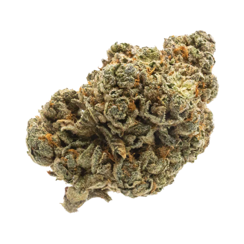 FIGR Jungle Fumes - Image 2