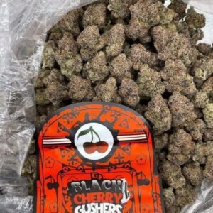 Black Cherry Gushers